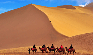 企業價值觀 企業價值觀